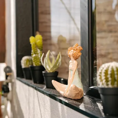 Magnolia Terrace By Amazing Madeira * 푼샬