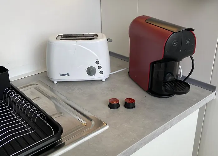 公寓 Magnolia Terrace By Amazing Madeira *