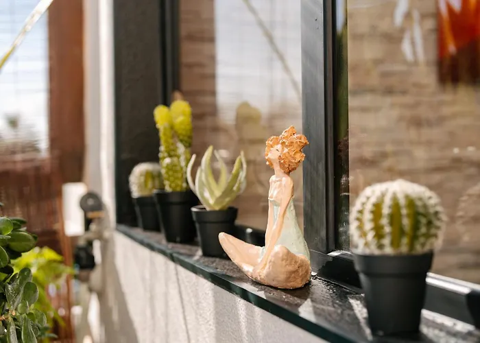 Magnolia Terrace By Amazing Madeira * Funchal (Madeira)