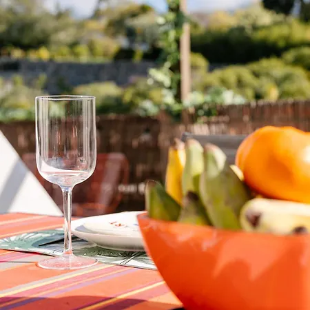 Apartamento Magnolia Terrace By Amazing Madeira Funchal (Madeira)